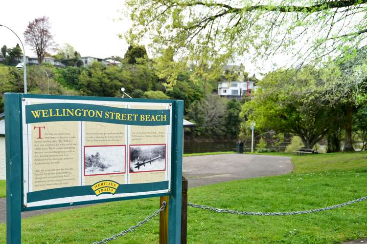 18 Galway Avenue Hamilton East_21