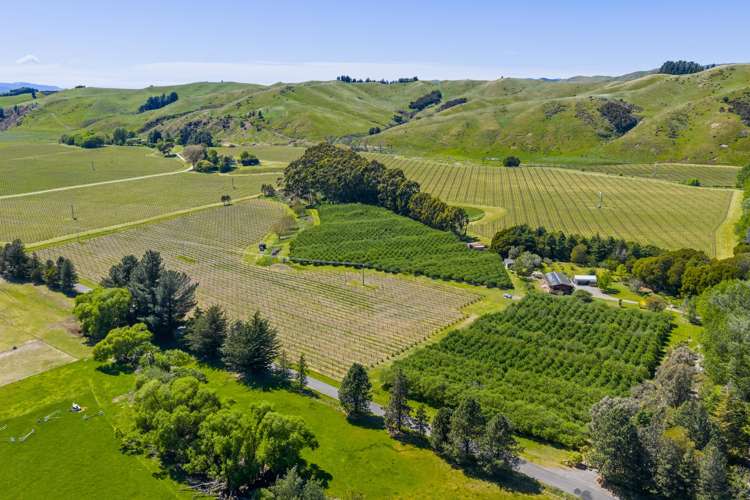 191 Tyntesfield Road Waihopai Valley_29