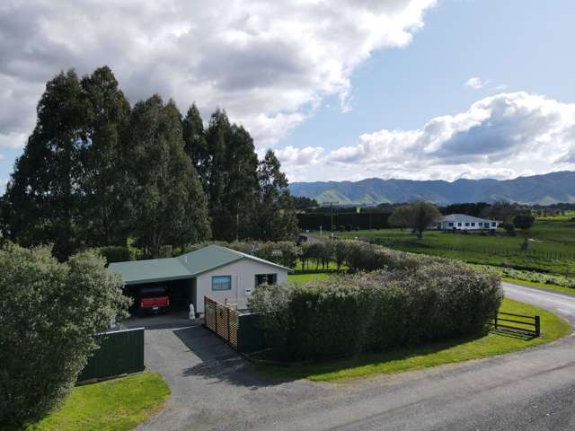 341 Maharahara Road Dannevirke_2