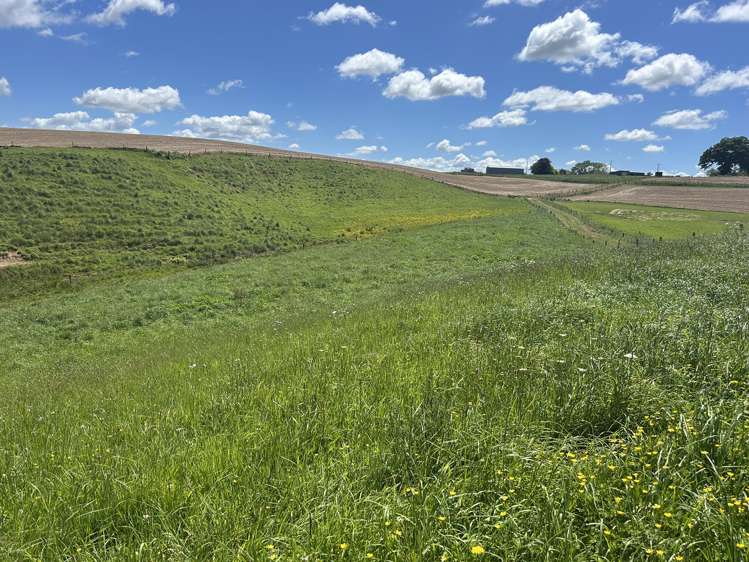 54 Puahue Road Te Awamutu_10