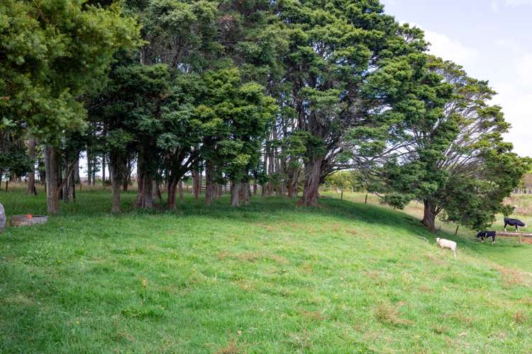 38a Geraghty Road Pukekawa_21