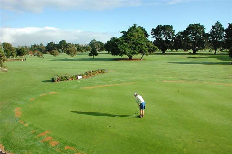 67 Old Lake Road Narrow Neck_16