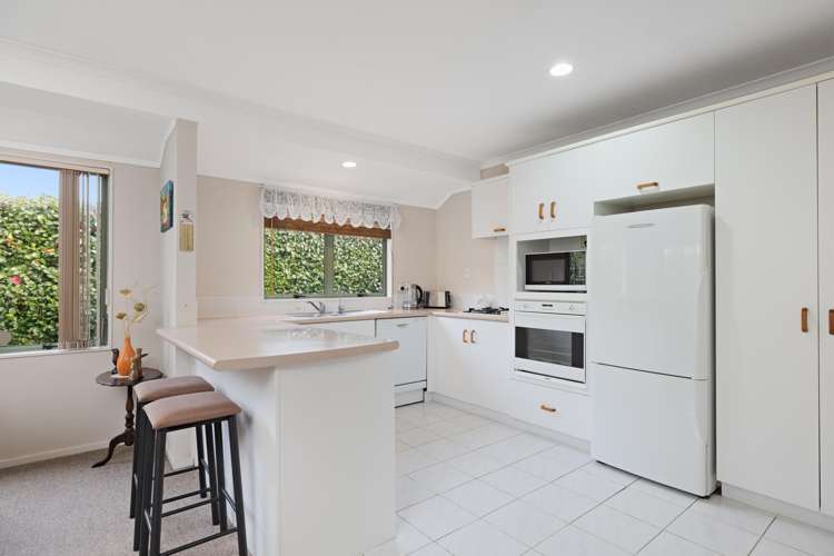 169b Maungatapu Road Maungatapu_2