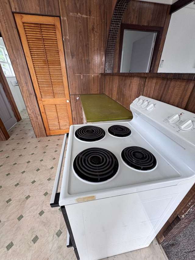 22 Ferguson Street Levin_3