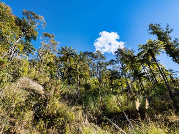 225 Rocky Cutting Road Papamoa_30