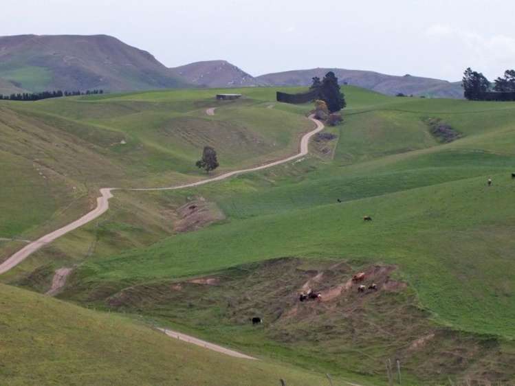 1006 Glenmark Drive Waipara_13