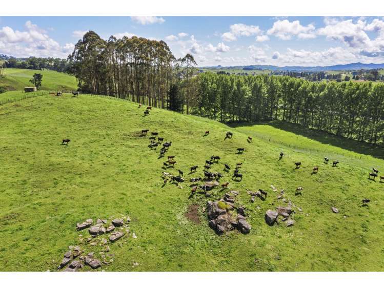 80 State Highway 3 Piopio_33