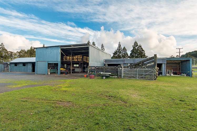 90 Schlaepfer Road Pukekohe_14