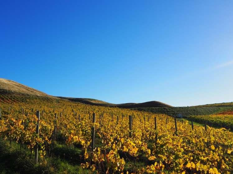 149 Wrekin Road Fairhall_18