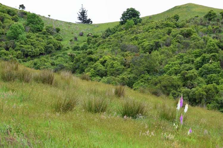 273 Ashley Gorge Road Oxford_15