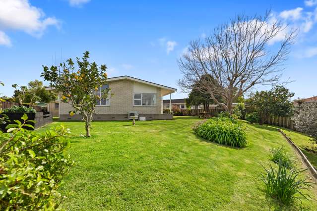 23 Te Hono Street Maungatapu_2