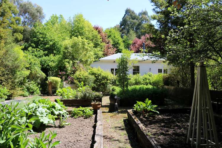 754 Norfolk Road Upper Plain_22