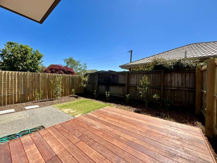 6/15 Plunket Street 10222_8