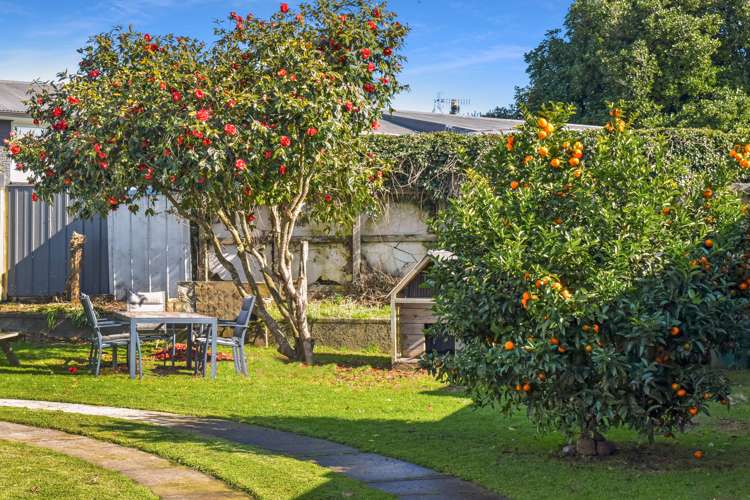 123 North Street Feilding_18