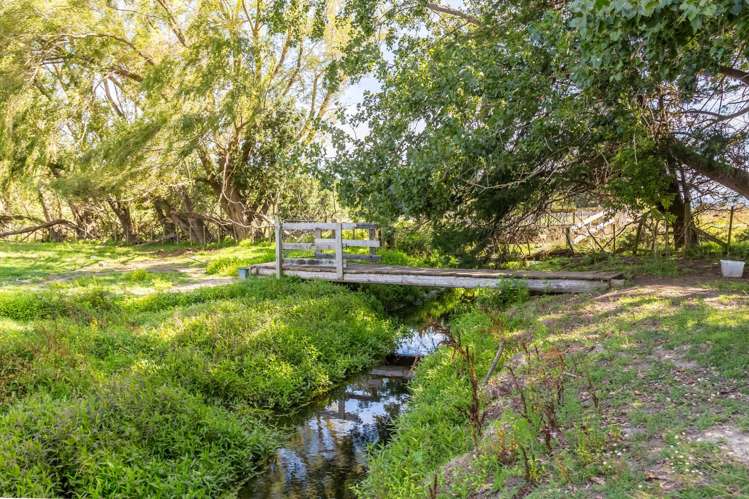 595 Wards Line Greytown_22