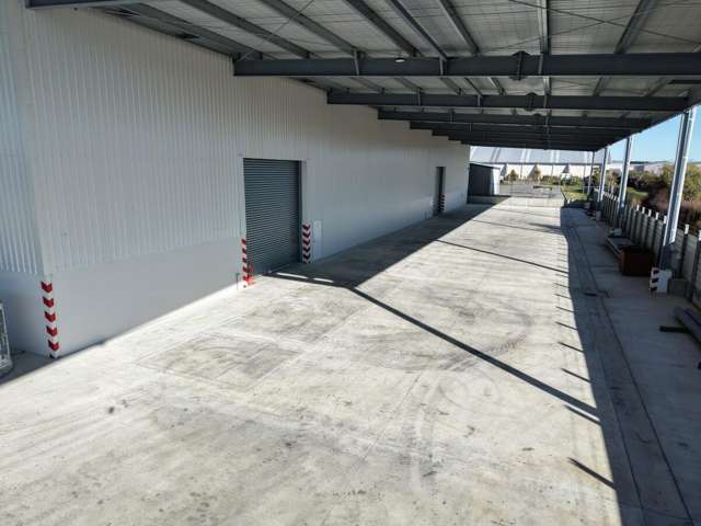 31 Hannover Place Rolleston_4