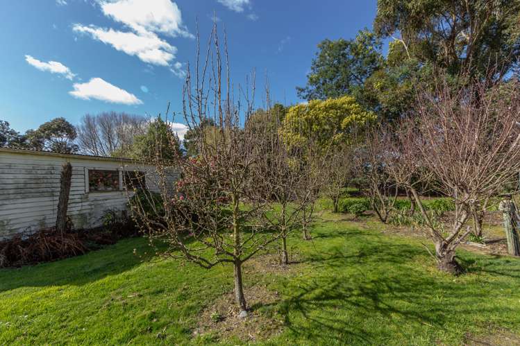 445 Terrace Road Sefton_17