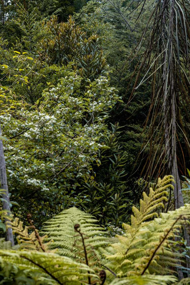 100 Bachelors Road Little River_58