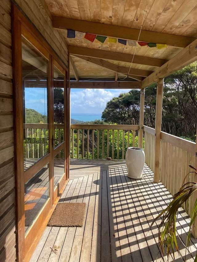 Ocean and forest view