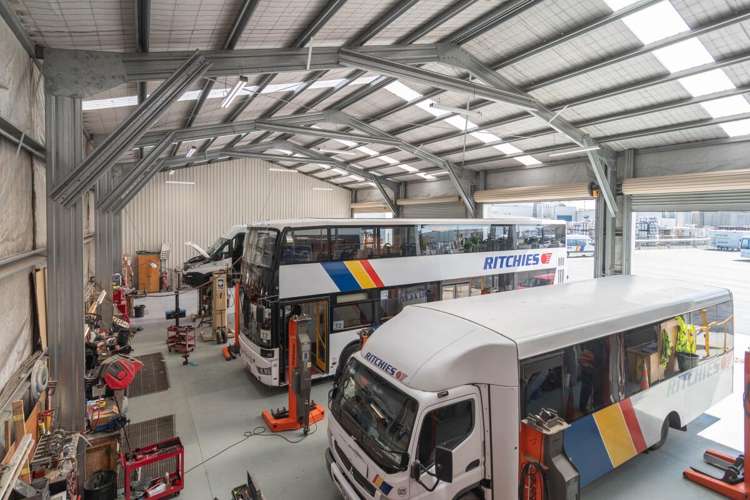 52 Sheffield Street Washdyke_8