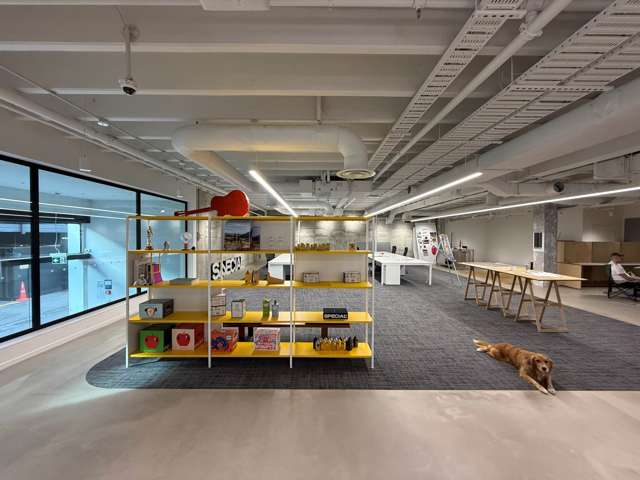 PREMIUM PONSONBY PREMISES