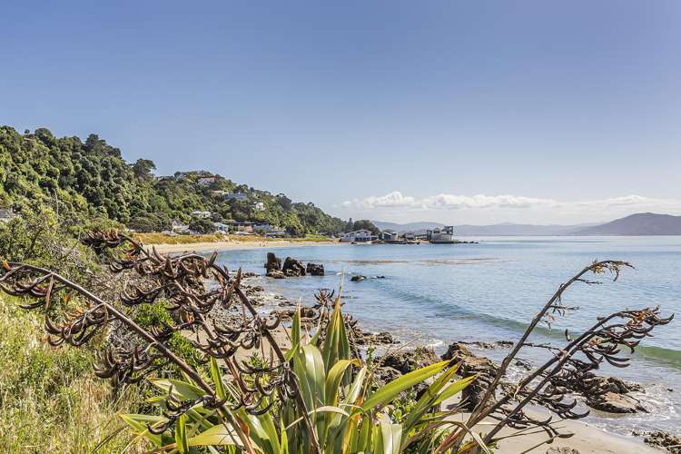 135 Marine Parade Seatoun_17