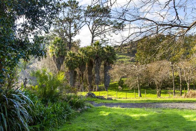 1812 Kaipara Coast Highway Kaukapakapa_17