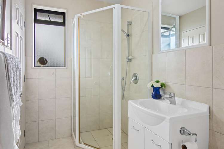 34 Joy Street Albany Heights_31