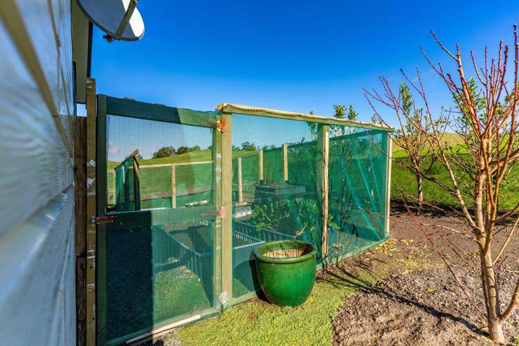 264 Bee Bush Road Dargaville_19