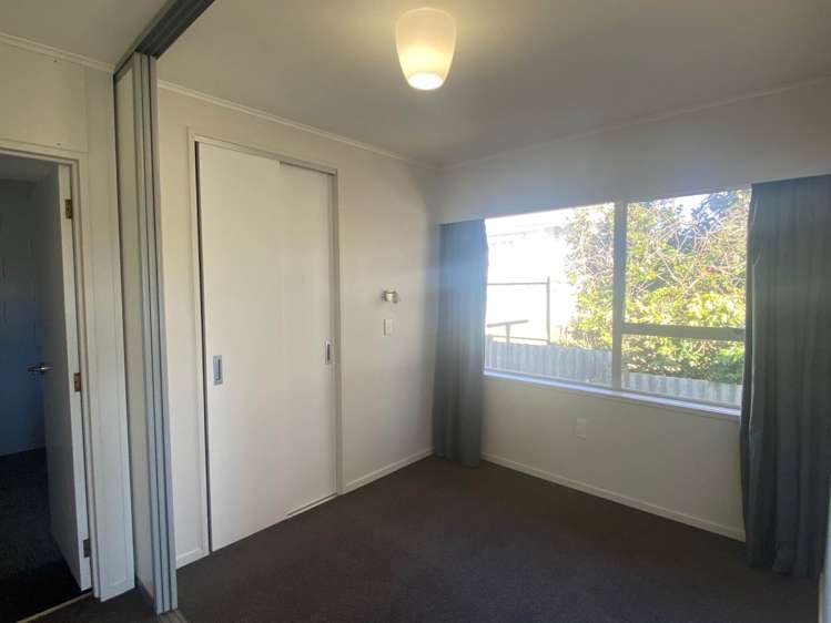 1/3 Edinburgh Street Pukekohe_6