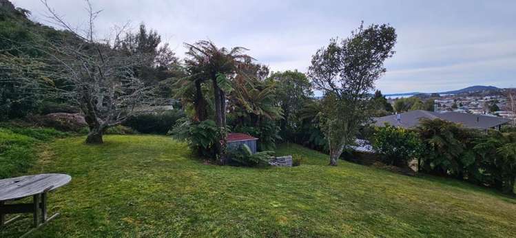 111 Mallard Drive Selwyn Heights_16