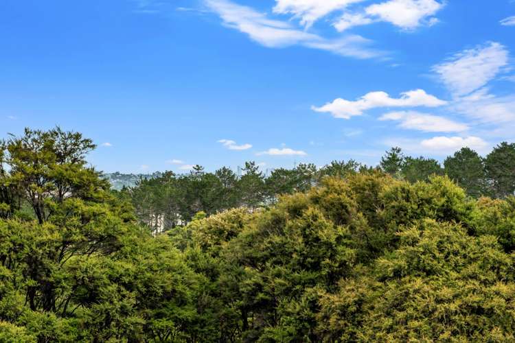 237 Lonely Track Road Albany_21