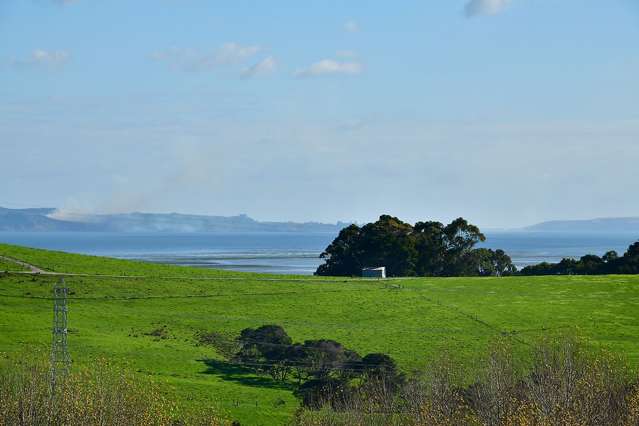 3020 Kaipara Coast Highway Glorit_4