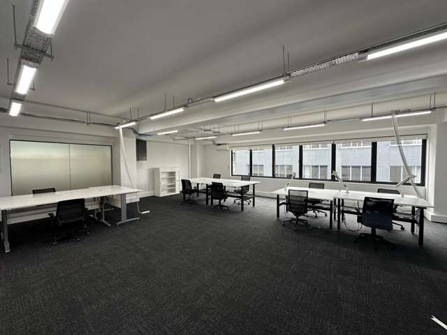 7 Windsor Street Parnell_2