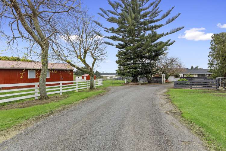 Old Highway Whakamarama_17