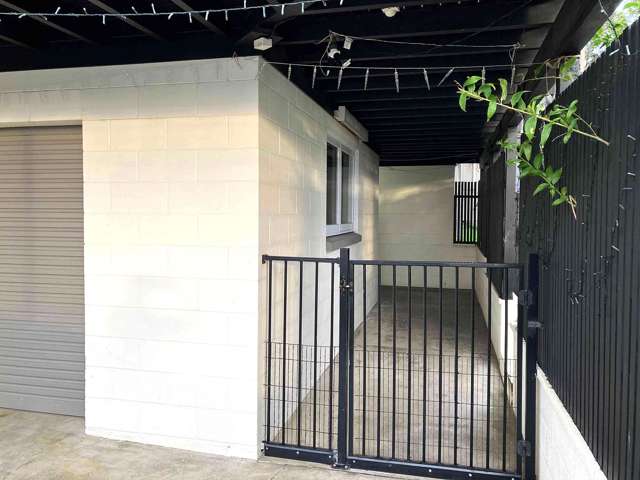 16a Collie Street Hillpark_1