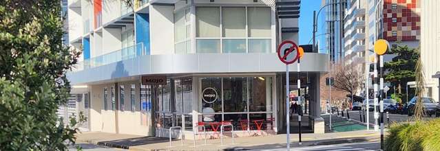 Ground/184 Molesworth Street Thorndon_4