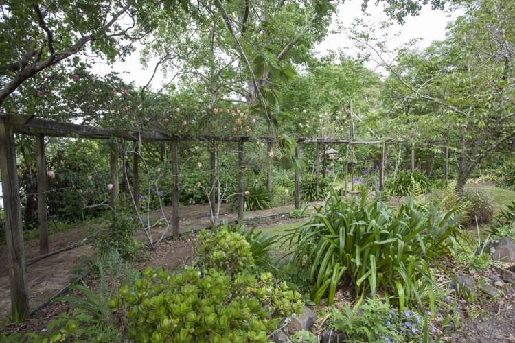 53 Kauaeranga Valley Road Thames_5