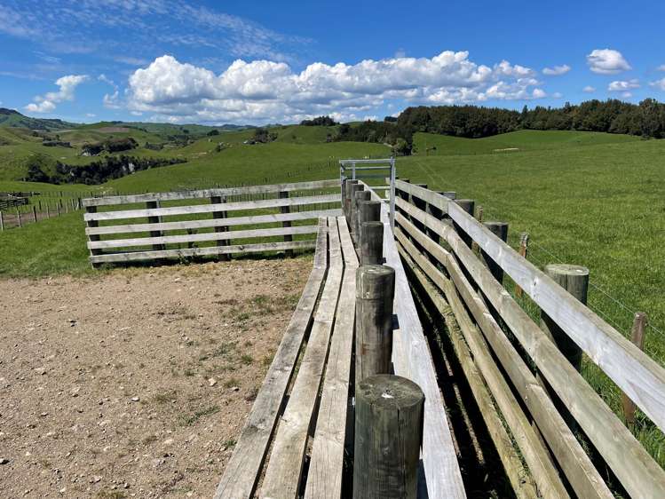 Ngaroma Road Wharepuhunga_14