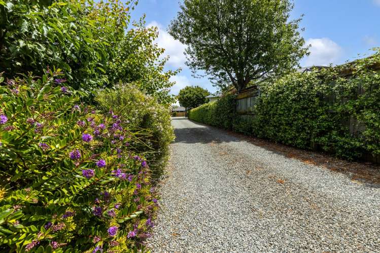 39B Murphys Road Springlands_20