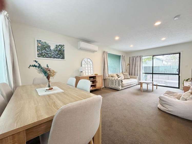 26A Plunket St Spreydon_8
