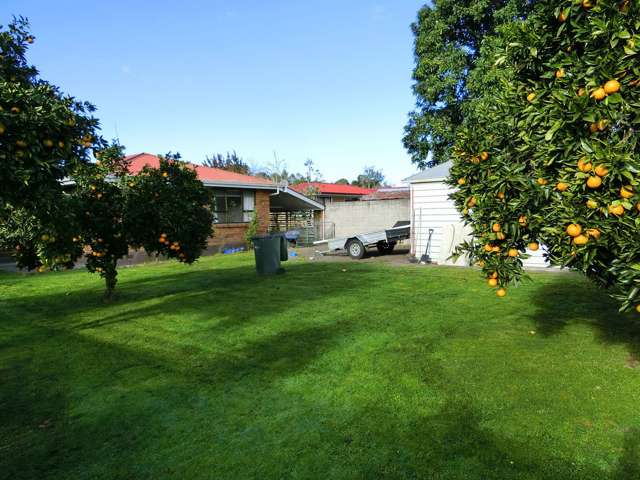 55 Massey Street Kawerau_1