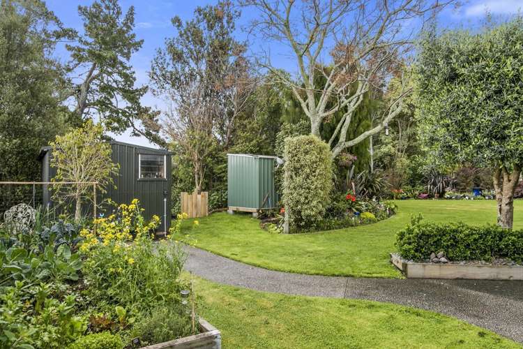 67 Highfields Drive Katikati_15