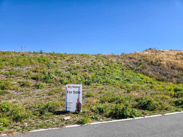 9 Petes Place [Lot 21] Lake Tekapo_2