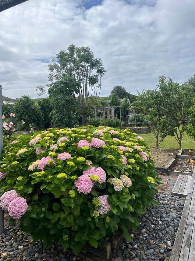 Address withheld Tamarau_4