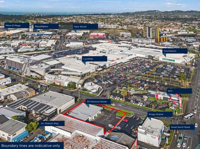 33 Veronica Street New Lynn_1