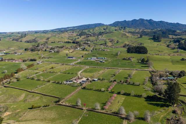 101 Ormsby Road Pirongia_2