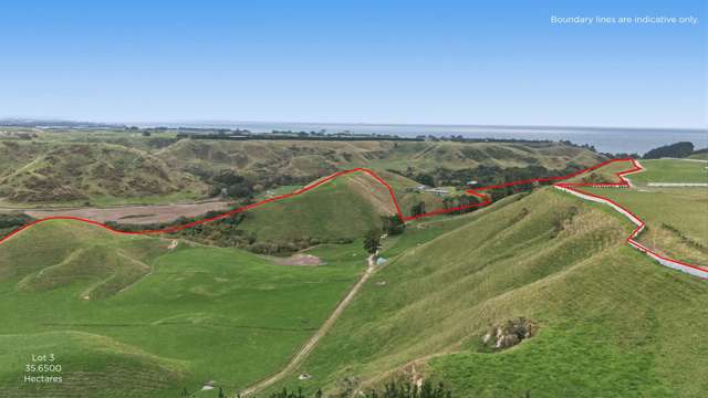 147A Pikowai Road Pikowai_4