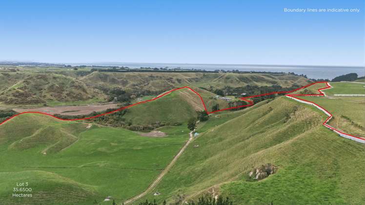 147A Pikowai Road Pikowai_4