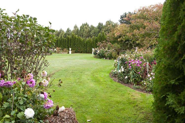 1238 Two Chain Road Swannanoa_22